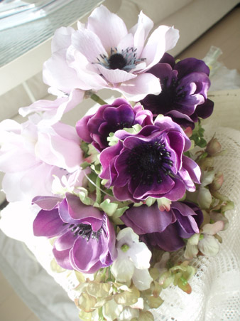 anemone1.jpg
