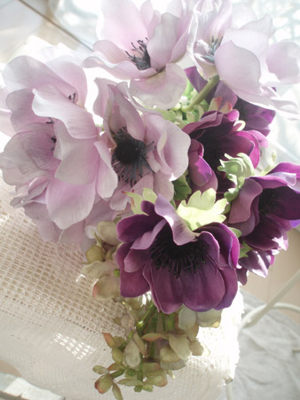 anemone2.jpg