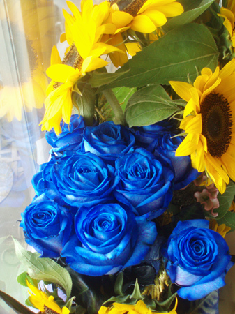 bluerose.jpg