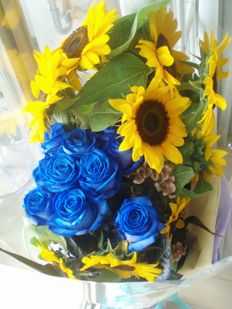 bluerose2.jpg