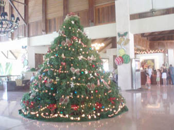 christmastree1.jpg