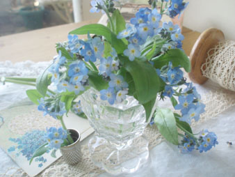 forgetmenot.jpg