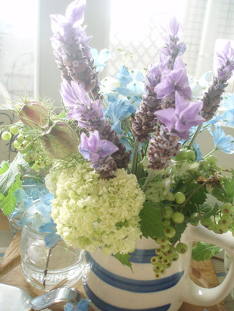 lavender.jpg