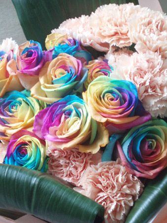 rainbow1.jpg