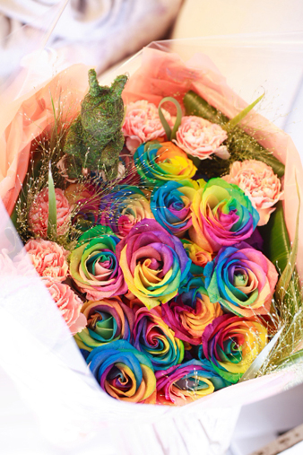 rainbow4.jpg