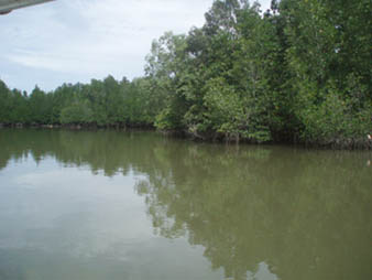 river1.jpg
