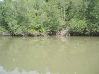 river2.jpg