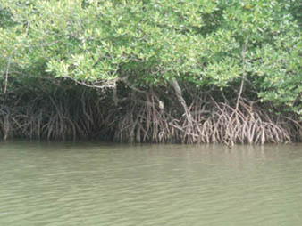 river3.jpg