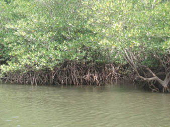 river6.jpg