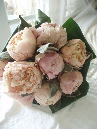 shakuyakuiceflower.jpg