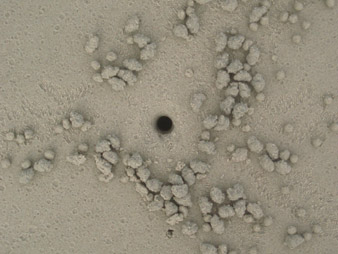suna3.jpg