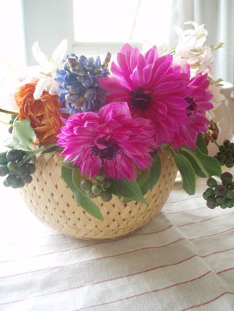 yaeanemone.jpg