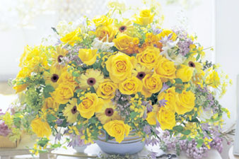 yellow.jpg